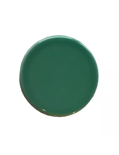 ÉMAIL FAÏENCE LIQUIDE TRANSP SS PLB BRIL. VERT FORÊT CLAIR 1KG SOL05/