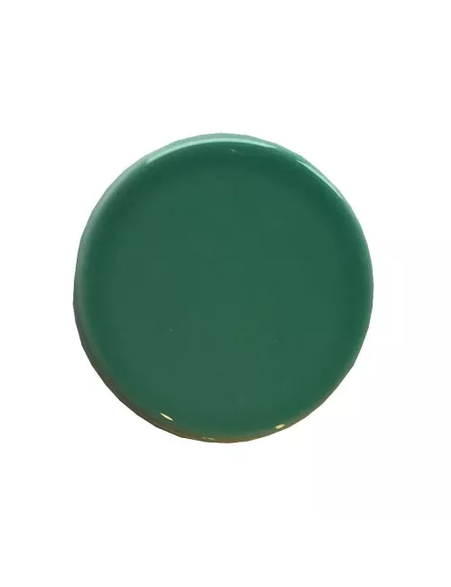 ÉMAIL FAÏENCE LIQUIDE TRANSP SS PLB BRIL. VERT FORÊT CLAIR 1KG SOL05/
