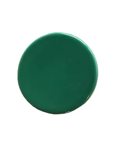 ÉMAIL FAÏENCE LIQUIDE TRANSP. SS PLB BRILL. VERT FORÊT FONCÉ 300G