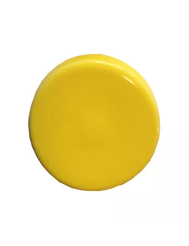 ÉMAIL FAÏENCE LIQUIDE TRANSP. SS PLB BRILL. JAUNE SOLEIL 1KG SOL06/10