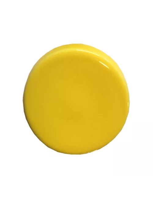 ÉMAIL FAÏENCE LIQUIDE TRANSP. SS PLB BRILL. JAUNE SOLEIL 1KG SOL06/10