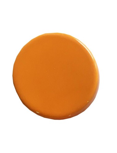 ÉMAIL FAÏENCE LIQUIDE TRANSP. SS PLB BRILL. MOUTARDE 1KG SOL09/101LL