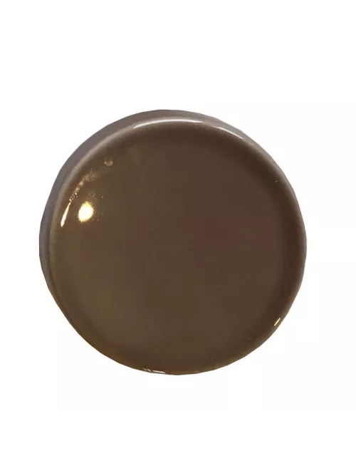 ÉMAIL FAÏENCE LIQUIDE TRANSP. SS PLB BRILL. GRIS BEIGE 300G SOL09/104