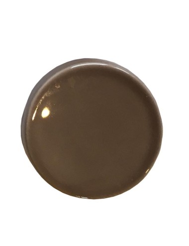 ÉMAIL FAÏENCE LIQUIDE TRANSP. SS PLB BRILL. GRIS BEIGE 1KG SOL09/104L