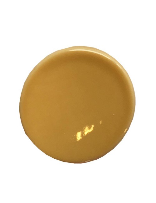 ÉMAIL FAÏENCE LIQUIDE TRANSP. SS PLB BRILL. BEIGE 1KG SOL09/113LL