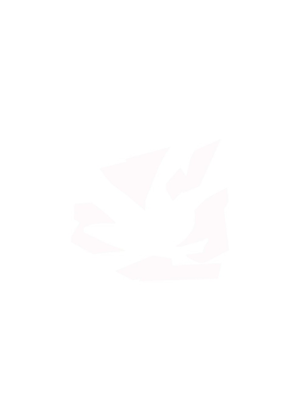 ENGOBE GRÈS SANS PLOMB BLANC 0150 (ancien 0100)