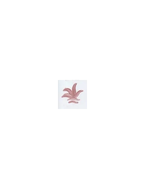 COULEUR VITTRIFIABLES DÉCOR ROSE VP3107