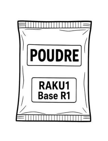 ÉMAIL FAÏENCE & RAKU BASE R1