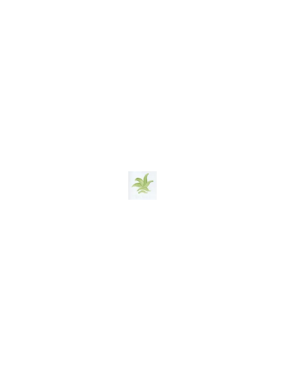 COULEUR VITTRIFIABLES DÉCOR VERT VICTORIA VP3150