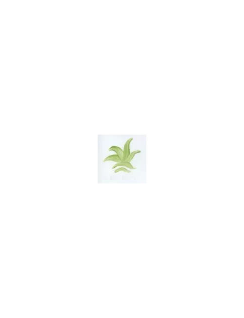 COULEUR VITTRIFIABLES DÉCOR VERT VICTORIA VP3150