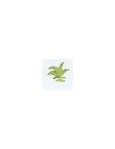COULEUR VITTRIFIABLES DÉCOR VERT HERBE VP3151