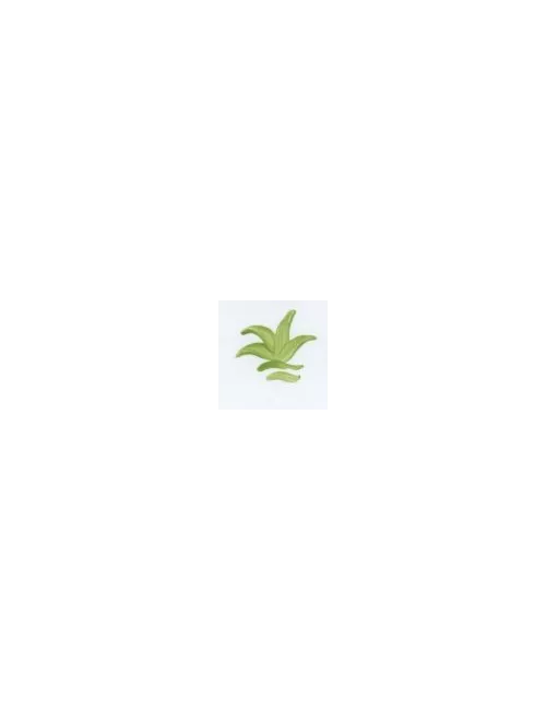 COULEUR VITTRIFIABLES DÉCOR VERT HERBE VP3151