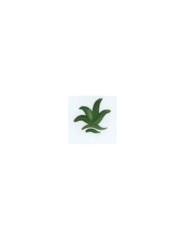 COULEUR VITTRIFIABLES DÉCOR VERT FONCÉ VP3152