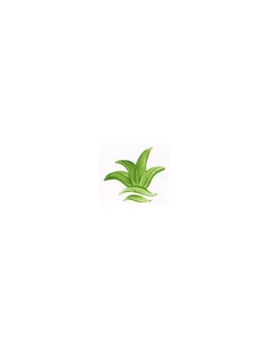 COULEUR VITTRIFIABLES DÉCOR VERT FEUILLE VP3153