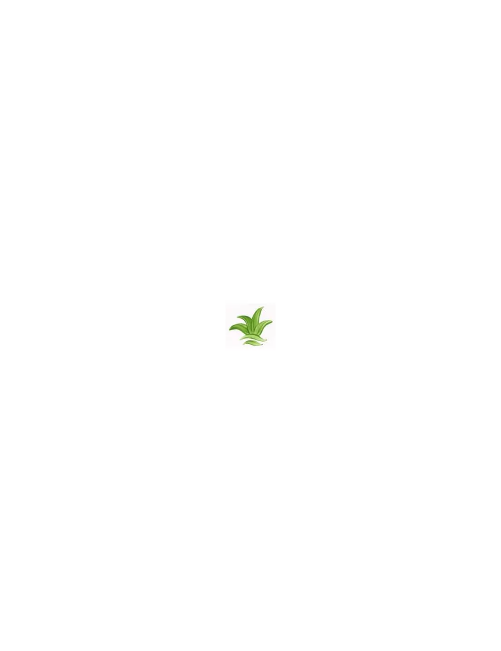COULEUR VITTRIFIABLES DÉCOR VERT FEUILLE VP3153