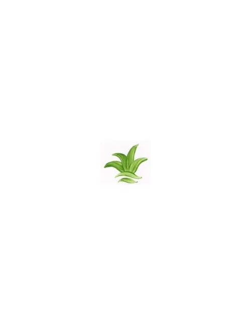 COULEUR VITTRIFIABLES DÉCOR VERT FEUILLE VP3153