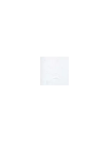 COULEUR VITTRIFIABLES DÉCOR BLANC VP3156