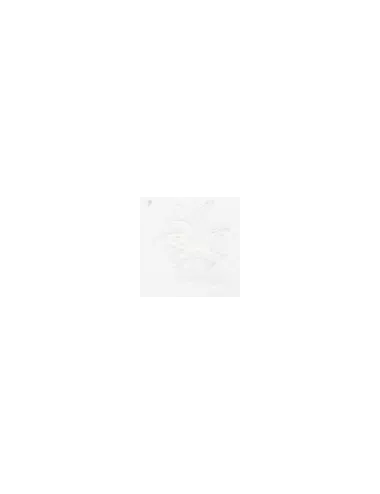 COULEUR SEMI-OPAQUE FANTAISIE BLANC VP3300
