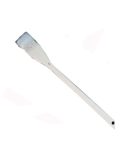 PINCEAU PLAT QUEUE DE MORUE 25 mm