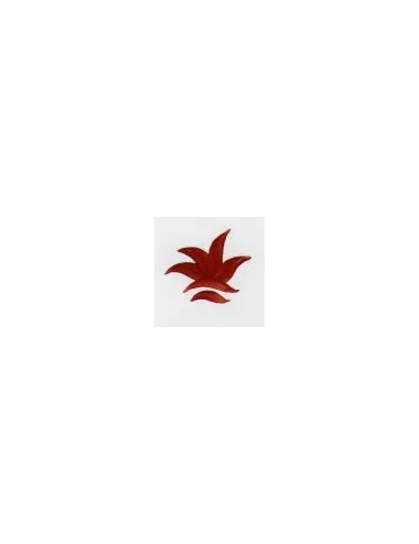 COULEUR SEMI-OPAQUE FANTAISIE MARRON VP3313