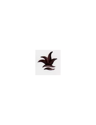 COULEUR SEMI-OPAQUE FANTAISIE CAFE VP3314
