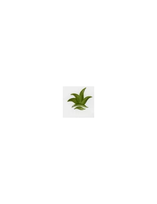 COULEUR SEMI-OPAQUE FANTAISIE VERT DE CHROME VP3317