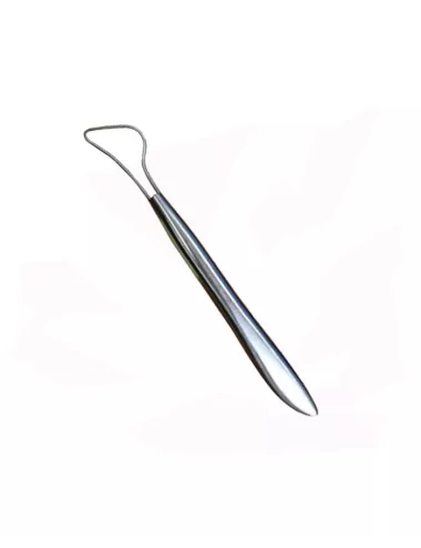 MIRETTE-EBAUCHOIR INOX FIL ROND 245 MM AVEC DENTS