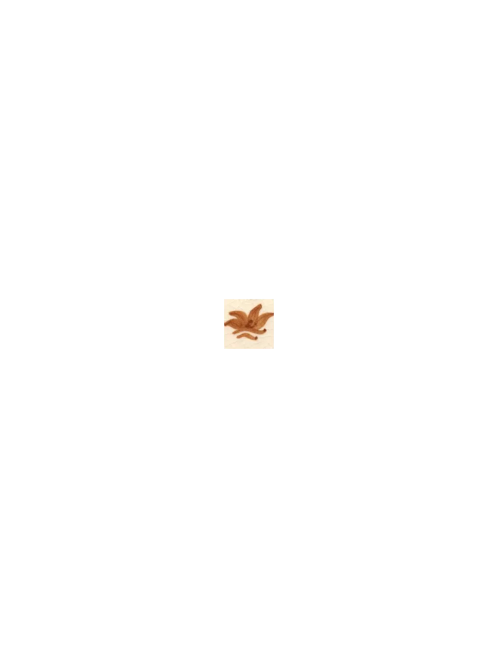 COLORANT Série D BEIGE D03
