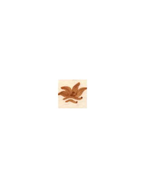 COLORANT Série D BEIGE D03