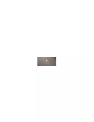 Estèque inox rectangulaire rigide EST308R 100 x 50 mm fabrication française