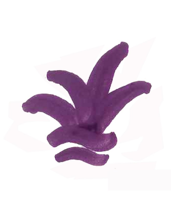 COLORANT P324 VIOLET AUBERGINE