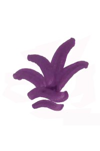 COLORANT P324 VIOLET AUBERGINE