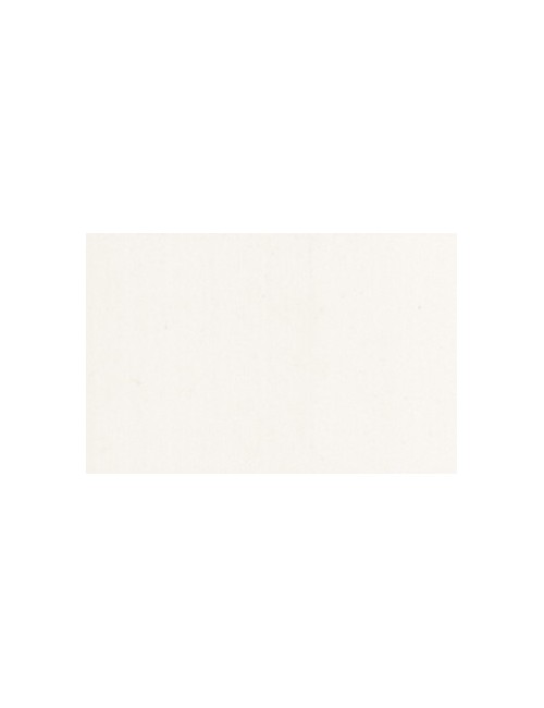 GRÈS BLANC LISSE - VD75 - 10 KG