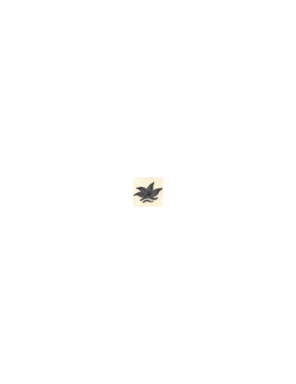 COLORANT Série D GRIS FONCÉ D25