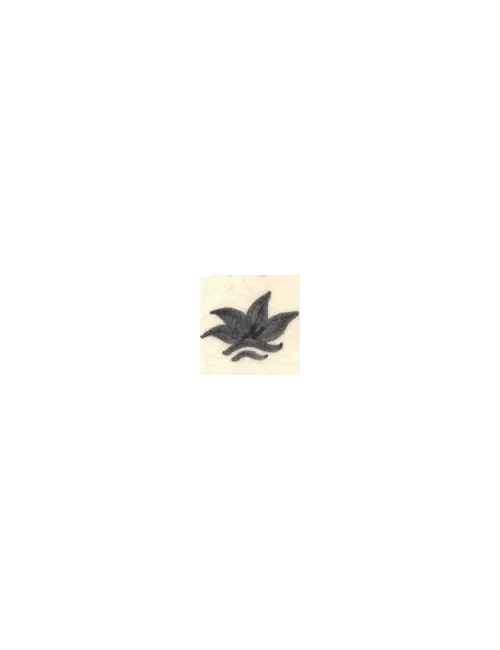 COLORANT Série D GRIS FONCÉ D25
