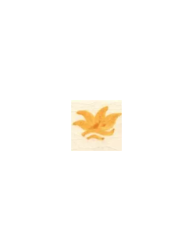 COLORANT D21/N JAUNE ORANGE jusqu'à épuisement