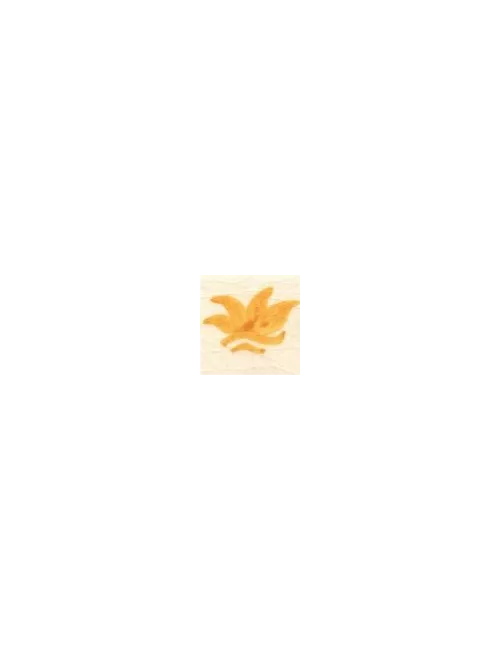 COLORANT D21/N JAUNE ORANGE jusqu'à épuisement