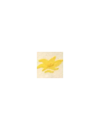 COLORANT Série D JAUNE SOLEIL D99