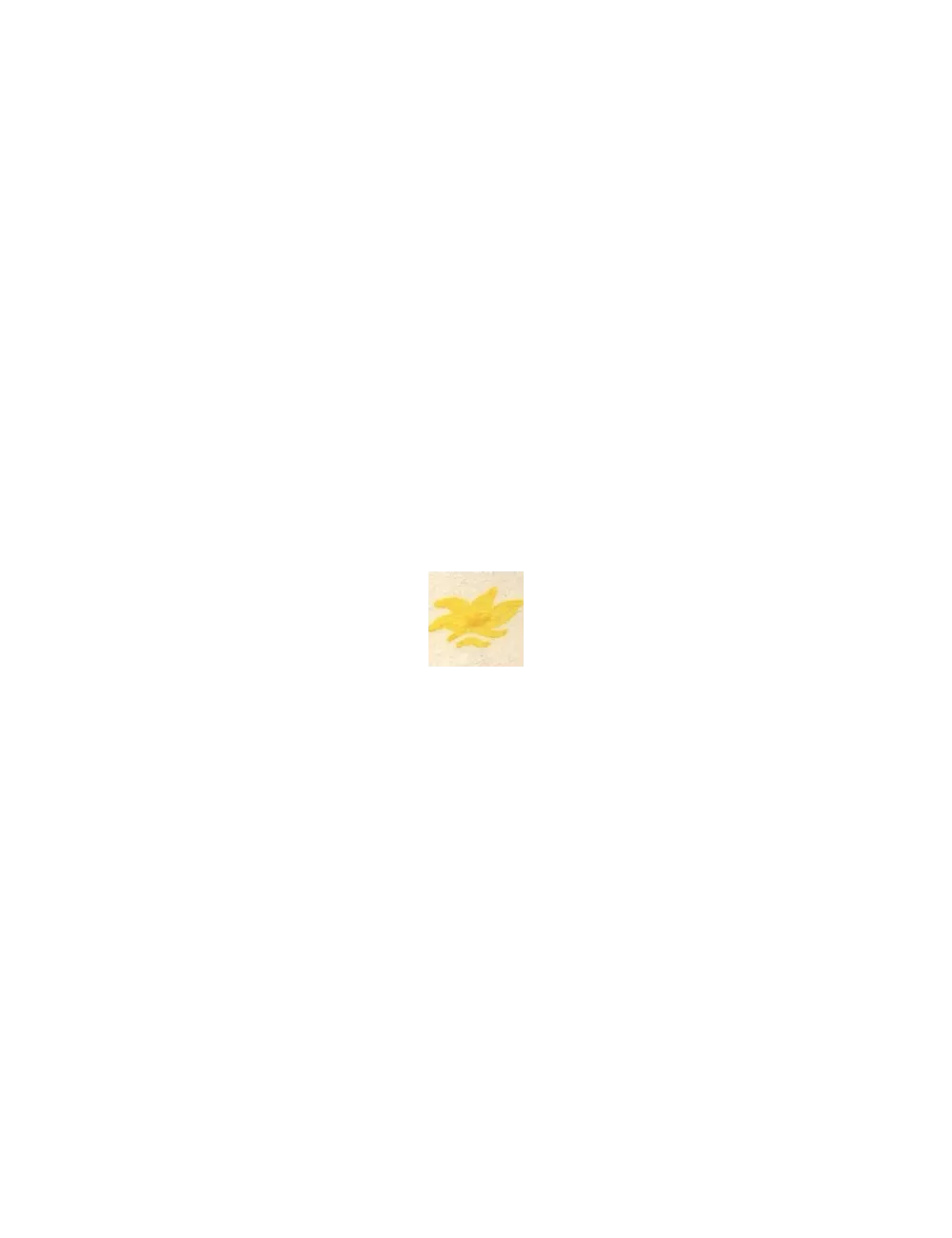 COLORANT Série D JAUNE SOLEIL D99