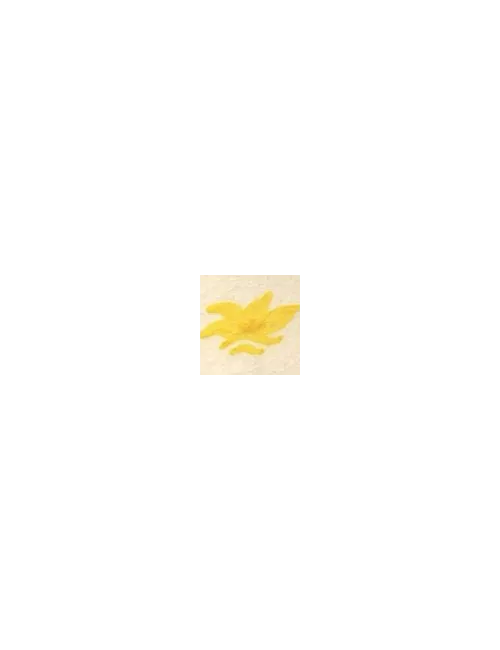 COLORANT Série D JAUNE SOLEIL D99
