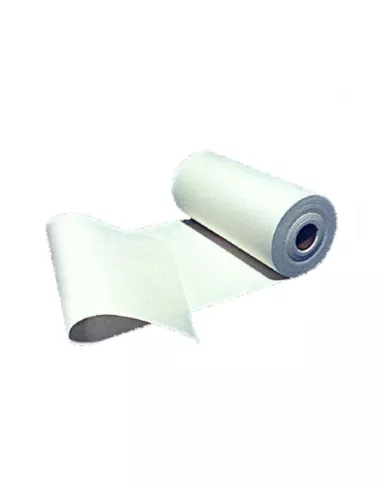PAPIER CERAM. FAIBLE BIO RESISTANCE 1260°C 15000 X 1000 MM EP 3 MM