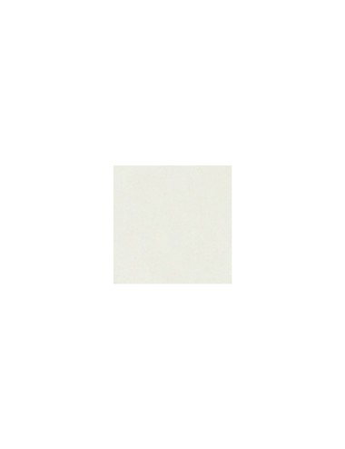 FAÏENCE EXTRA BLANCHE POUDRE - FAM5C - sac de 25 kg / vendu au kg