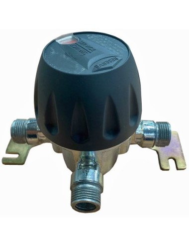 INVERSEUR GAZ AUTOMATIQUE 12kg/h 1.5 BAR M-M 20X150