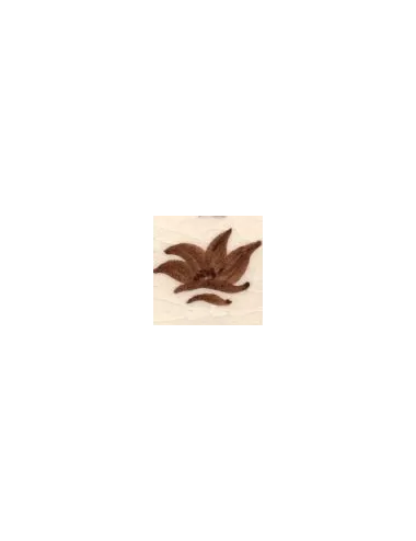 COLORANT Série D CHOCOLAT D05