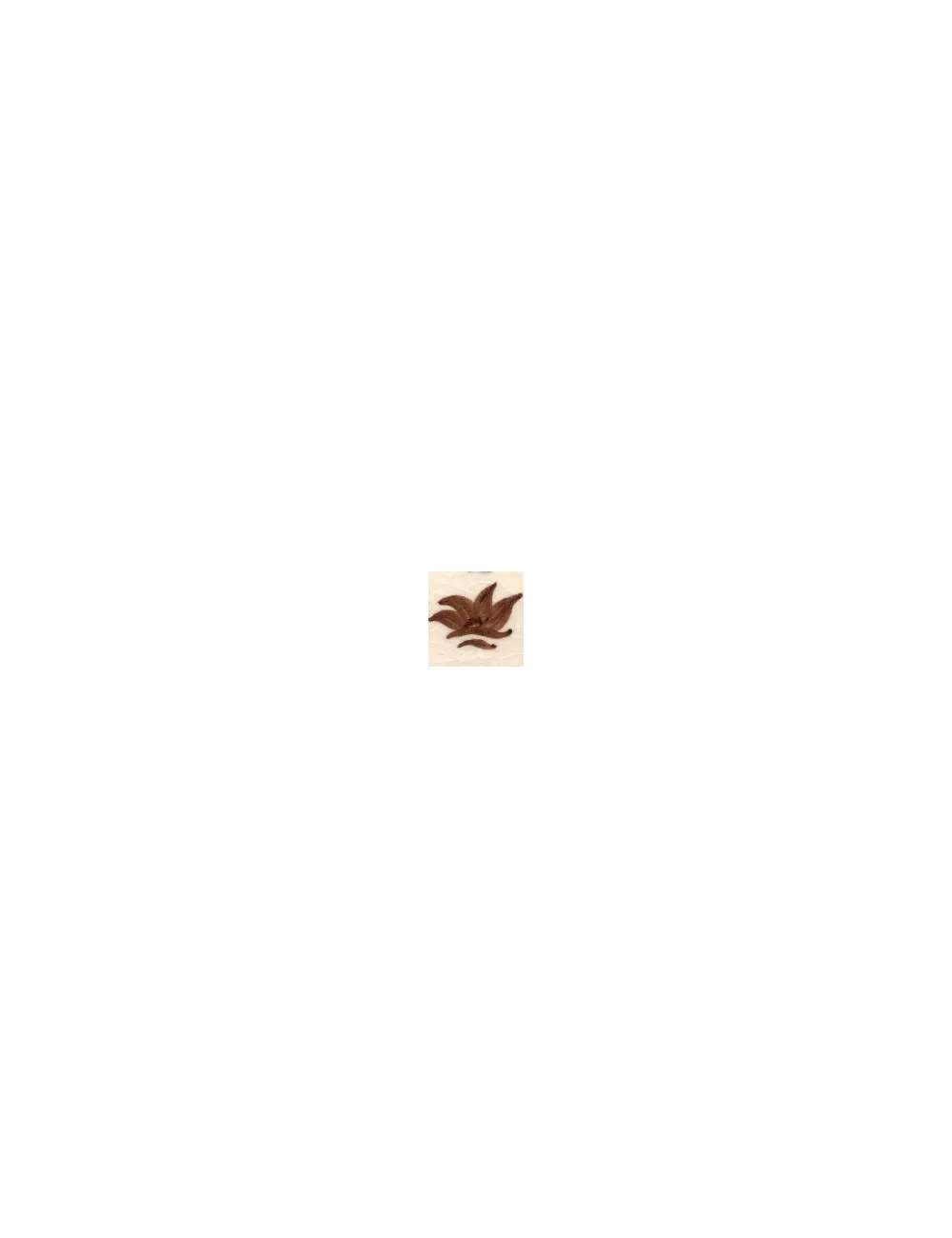 COLORANT Série D CHOCOLAT D05