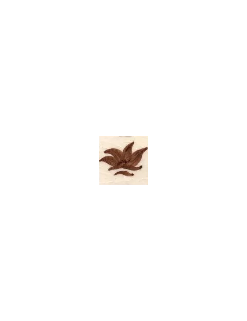 COLORANT Série D CHOCOLAT D05
