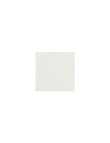 GRÈS BLANC LISSE PAPER CLAYS -FLAXEN00 - 10 KG