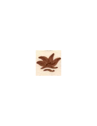 COLORANT Série D MARRON ROUX D04