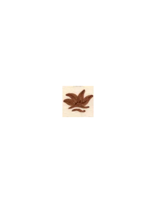 COLORANT Série D MARRON ROUX D04
