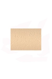 ENGOBE 6028 POUR TUILE/SCULPTURE BEIGE CLARISSIMO